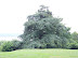 Mt. Vernon In August