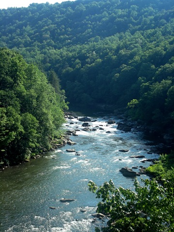 [Ohiopyle%2520State%2520Park%2520054%255B3%255D.jpg]
