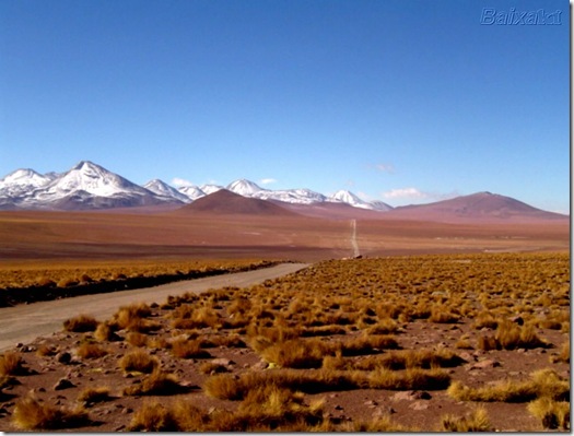 BXK17007_deserto-de-atacama-_cordilheira-andina-_norte-do-chile_-agosto-2004-_p.pd13820800