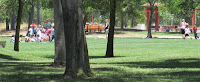 Ard Sunnyvale 013.JPG Photo