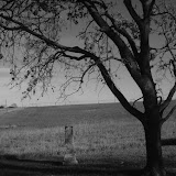 "Headstone" - copyright Erin Zulkoski