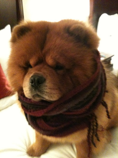 Okay, it's time for us to head to the show.  Brrrr!  It's getting cold outside!  Better bundle up!