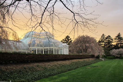 The evening sky was the perfect backdrop for the palatial architecture of the greenhouses and the majestic specimen trees.