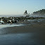 Shi-Shi Beach, WA 2