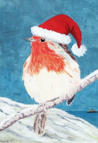 [Robin%2520Xmas%2520card-1%255B3%255D.jpg]