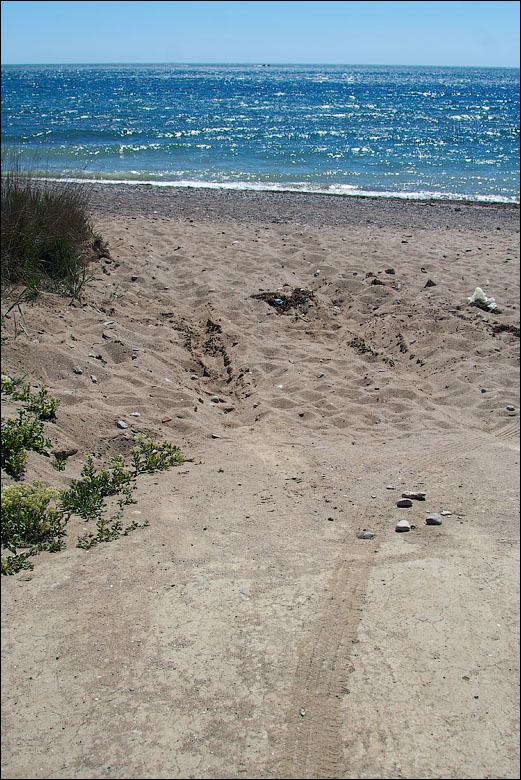 IMG_2968_small.jpg