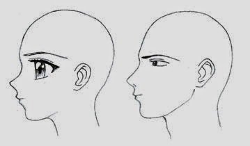 [How-to-Draw-For-Beginners-Step-by-Step-the-nose-profile%255B3%255D.jpg]