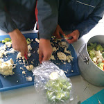 IMAG0466.jpg