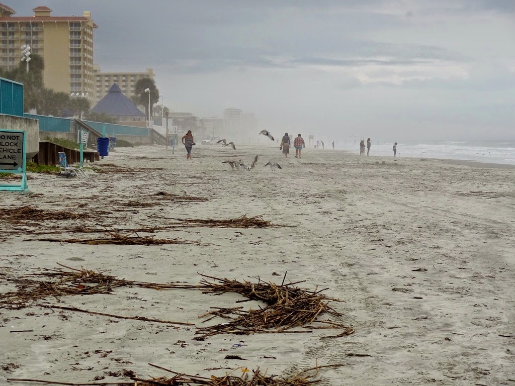 [DSC00074%2520%25281300x975%2529%255B4%255D.jpg]