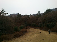 DSC_0076.JPG Photo