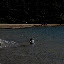 some dude in the water