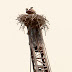 20130428-dsc_0757