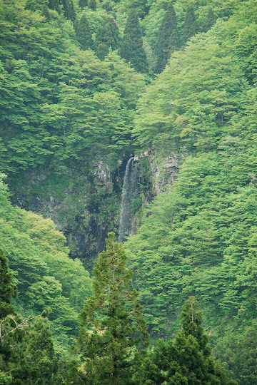 弁ヶ滝