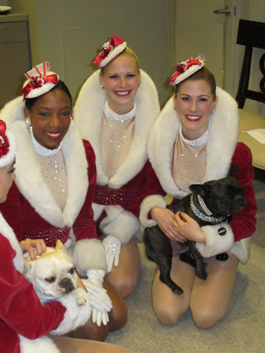 Just look at my magnificent legs!  I'm the one who'll be recruited and kicking away at Radio City in the Christmas Spectacular!  You go back to the farm and chase squirrels.
