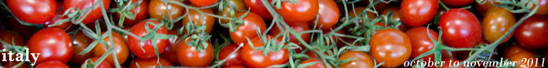 Banner Banner