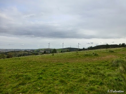 [P1140565%255B5%255D.jpg]