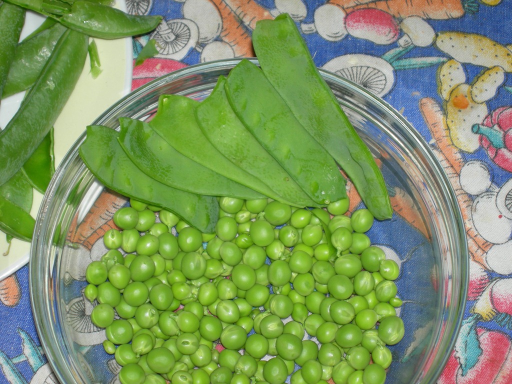 [DSCN6569%255B5%255D.jpg]