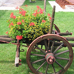 IMG_1182.jpg