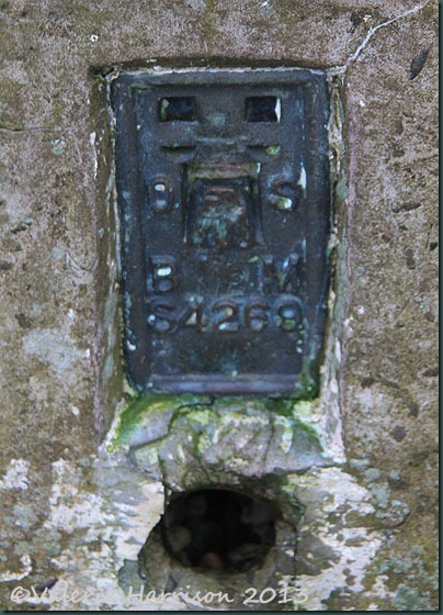 17-trig-plate 17-trig-plate