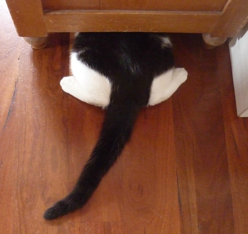 [hiding%255B5%255D.jpg]