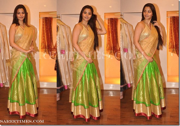 Rahul_Mishra_Designer_Half_Saree