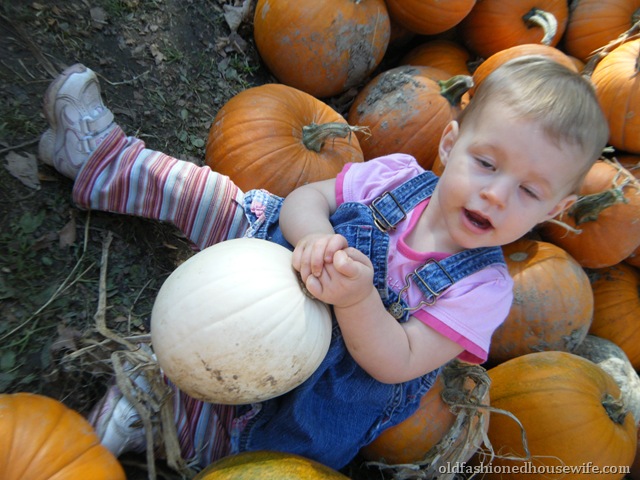 [Picture0394.jpg]