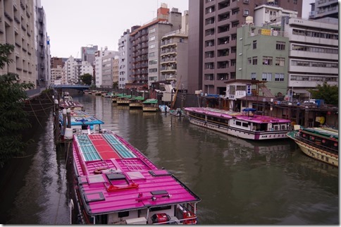 IMGP2581 IMGP2581