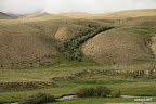 Trees lining neatly in a hill-fold