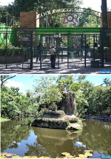 Zoológico de El Salvador imagenes