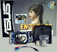 Tarjeta De Video Asus Nvidia Geforce 7900 Gs