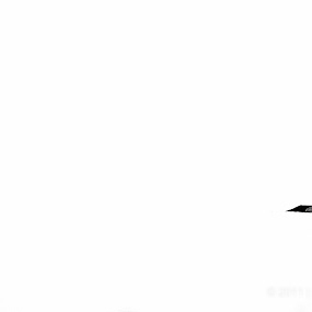 Zen Thoughts by Mauricio Alas - Commercial & Journalism Photojournalism
