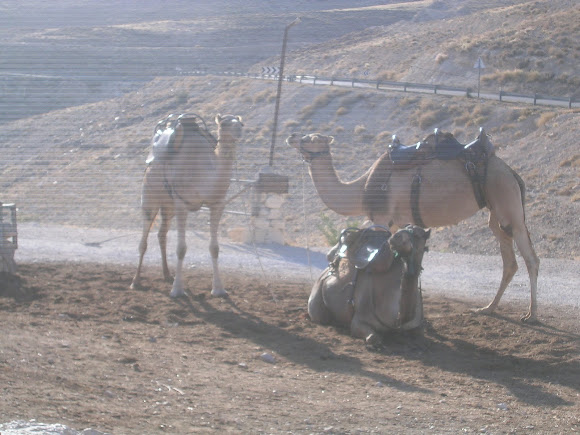 Spotting Image 1