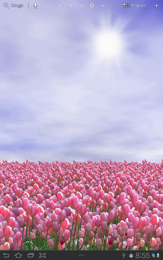 Tulip Field Live Wallpaper