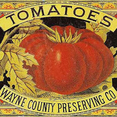 Simple Tomato Sauce Recipe