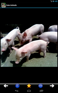 How to download Cute Animals 1.01 apk for laptop