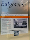Aboriginal Word Naming North Harbour 