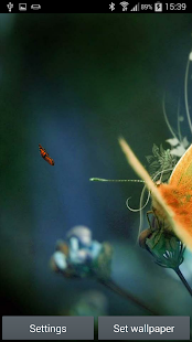 How to download Butterfly Live Wallpaper patch 14 apk for bluestacks