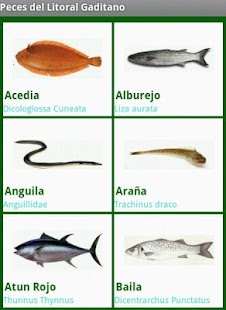 How to mod Peces de Cadiz 1.3 unlimited apk for laptop