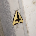 Clymene Moth