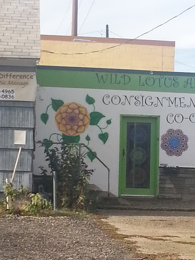 Wild Lotus Art Shop