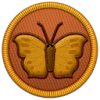 Butterflies & Moths of the World