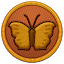 Butterflies & Moths of the World