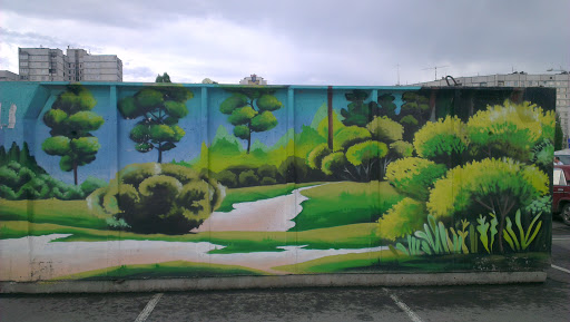 Forest Graffiti