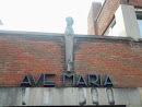 8700 Ave Maria
