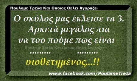 Πουλαμε Τρελα Και Οποιος Οελει Αγοραζει Ο σκύλος μας έκλεισε τα 3. Αρκετά μεγάλος πια να τοο ποουε πως ειναι υιοθετημένος www.facebook.com/PoulameTrela