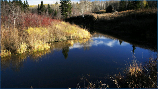 How to install HD Nature Wallpapers 7.1 mod apk for bluestacks