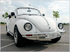 Manual De Reparacion Volkswagen Escarabajo