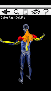 How to install Precision Fit Trainer FREE patch 1.1 apk for pc