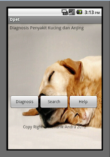How to download Pets Diagnosis patch 1.1 apk for bluestacks