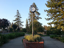 Paradise Community Park Clock